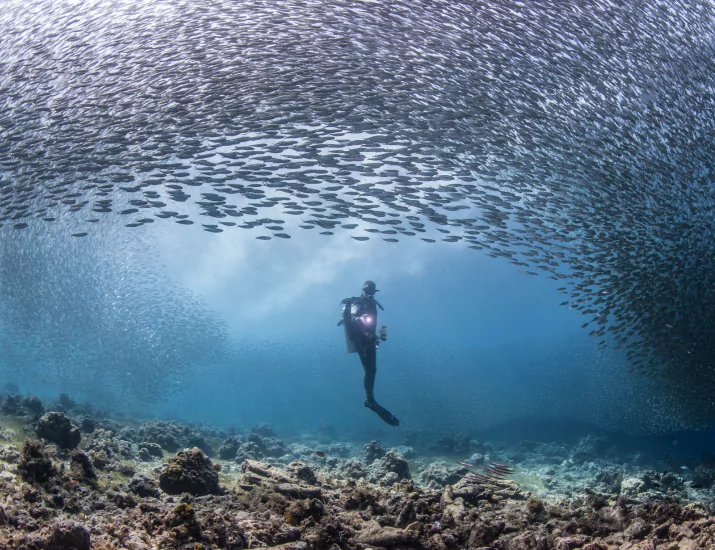 Neptune One Liveaboard Vessels for Komodo Dragon Tours