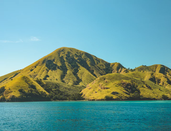 Geographic Komodo Dragon Habitat