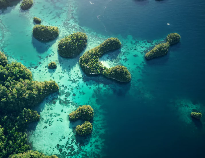 Top Attractions in Komodo National Park