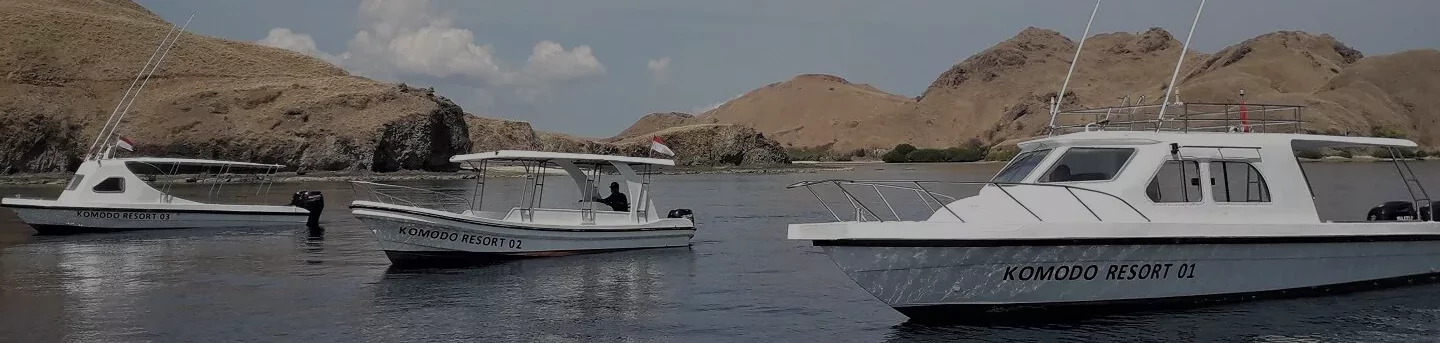 Best Time to Visit Komodo National Park
