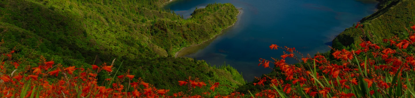 Komodo Dive Sites
